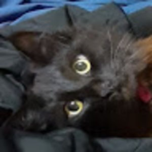 Meet your Posher, Minhong